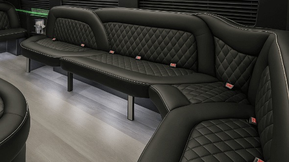 14 passenger sprinter limousine interior