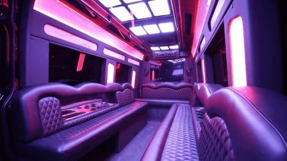 Interior of Billings Party Bus Company's 18 Passenger Party Bus in Billings